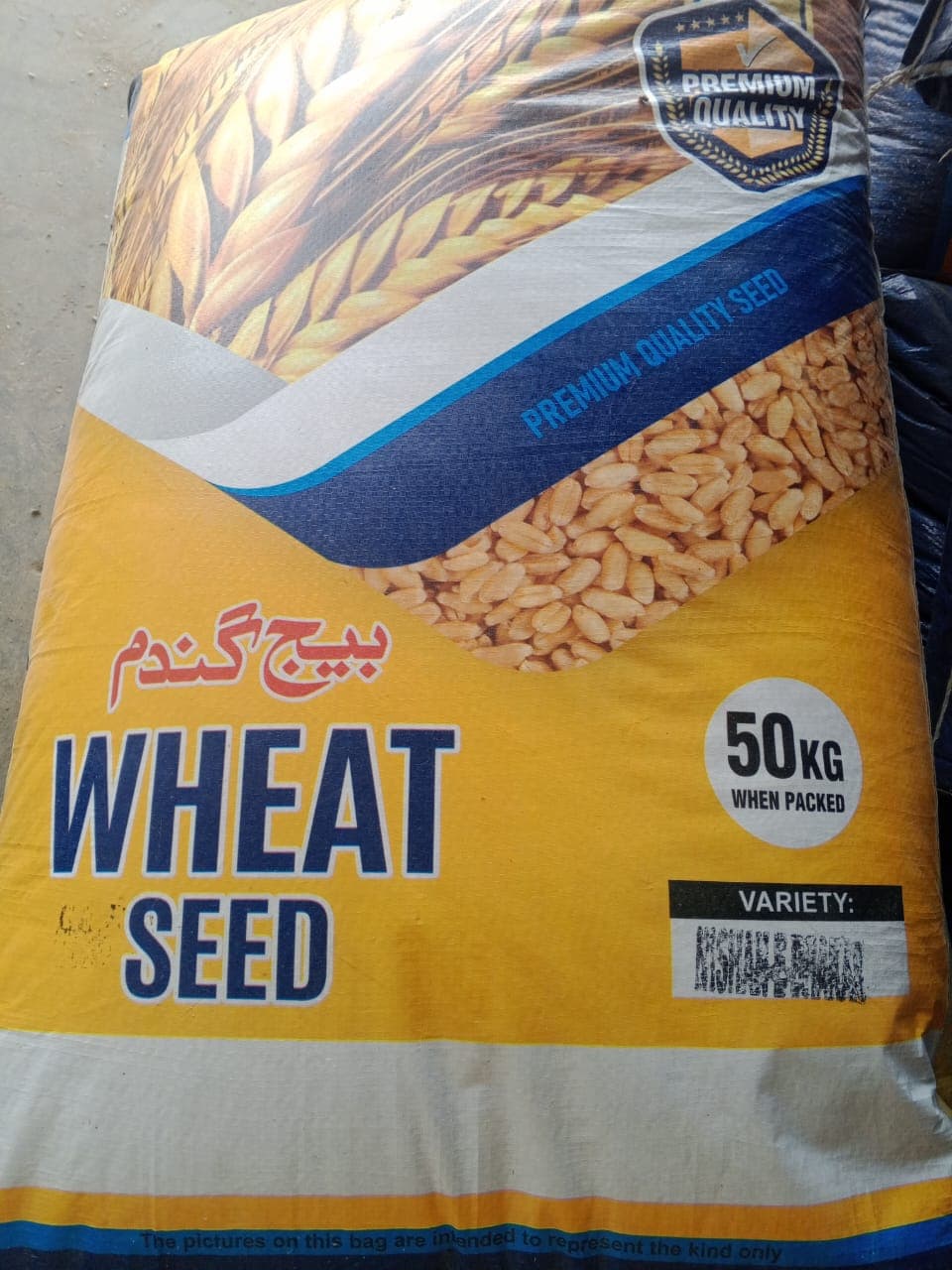 Wheat Seeds